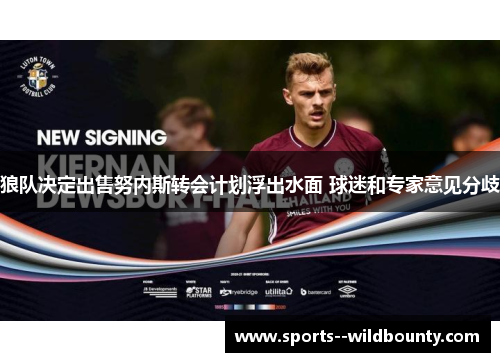 狼队决定出售努内斯转会计划浮出水面 球迷和专家意见分歧